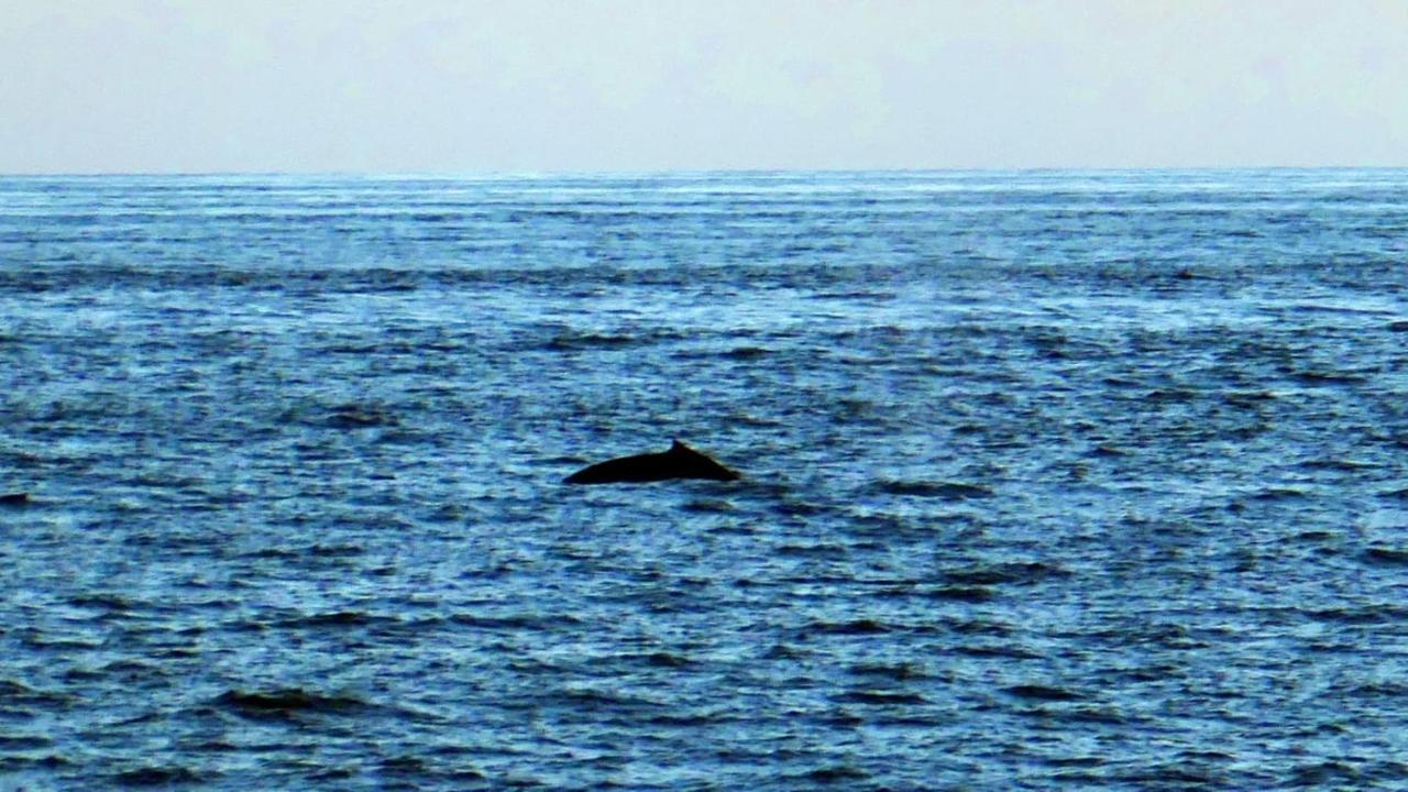 Сasa de vacaciones Paraíso Terrenal San Juanillo